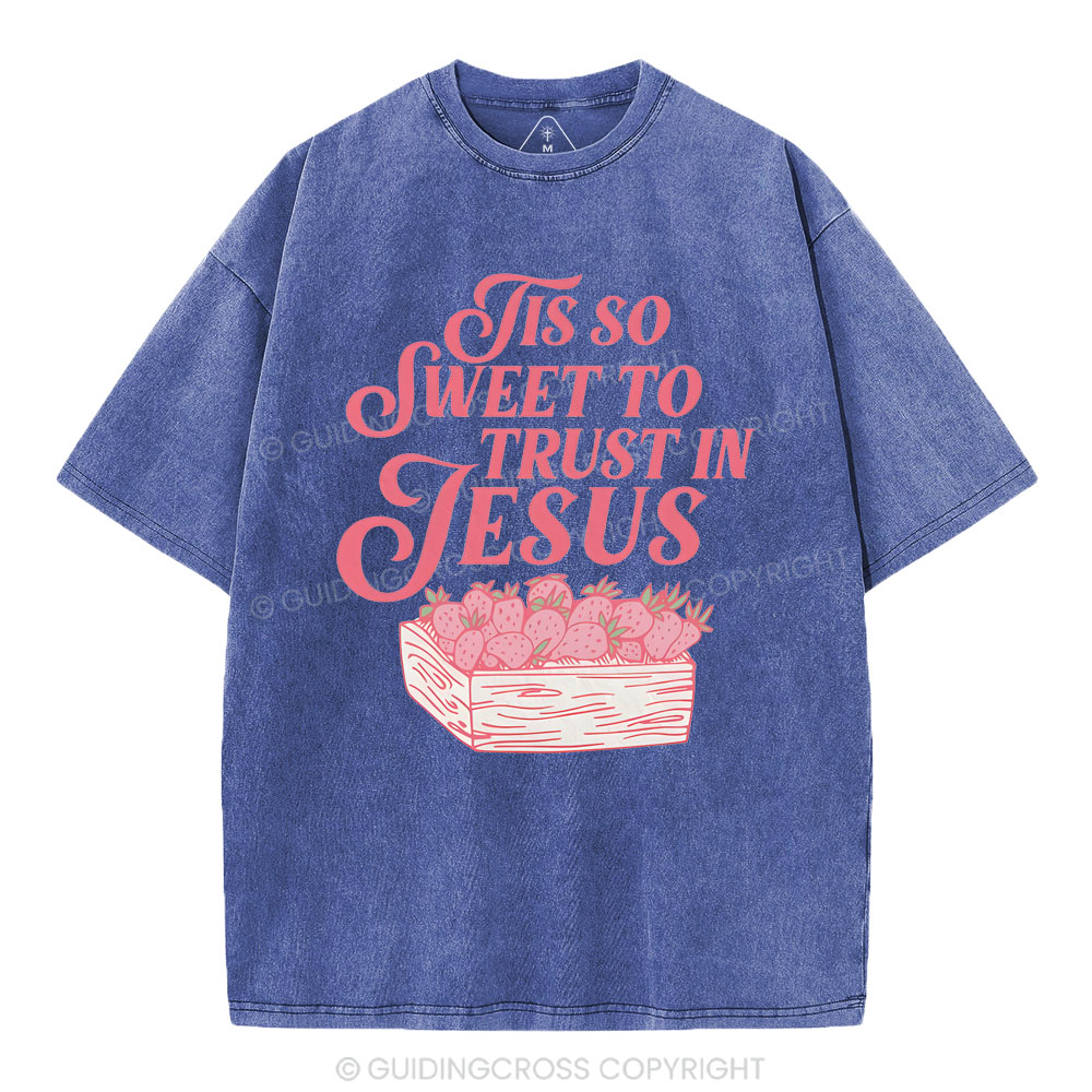 TIS To Sweet To Trust In Jesus Christian Washed T-Shirt
