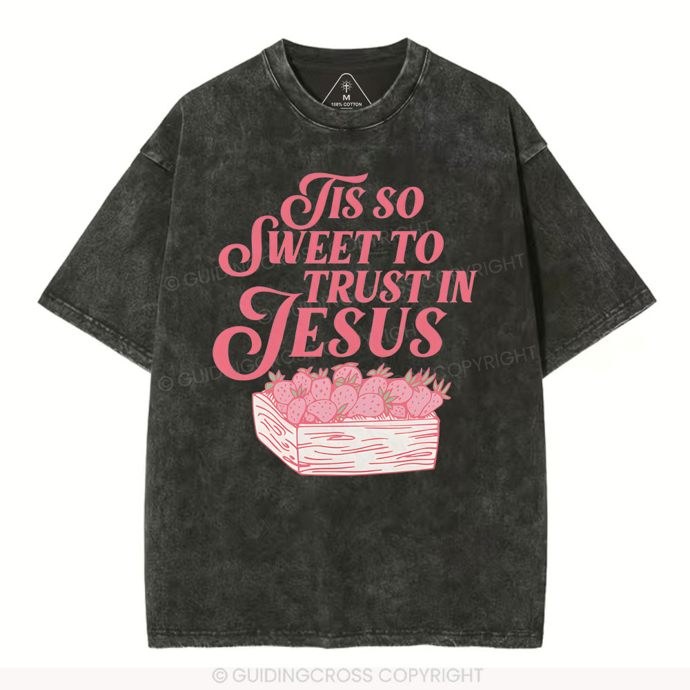 TIS To Sweet To Trust In Jesus Christian Washed T-Shirt