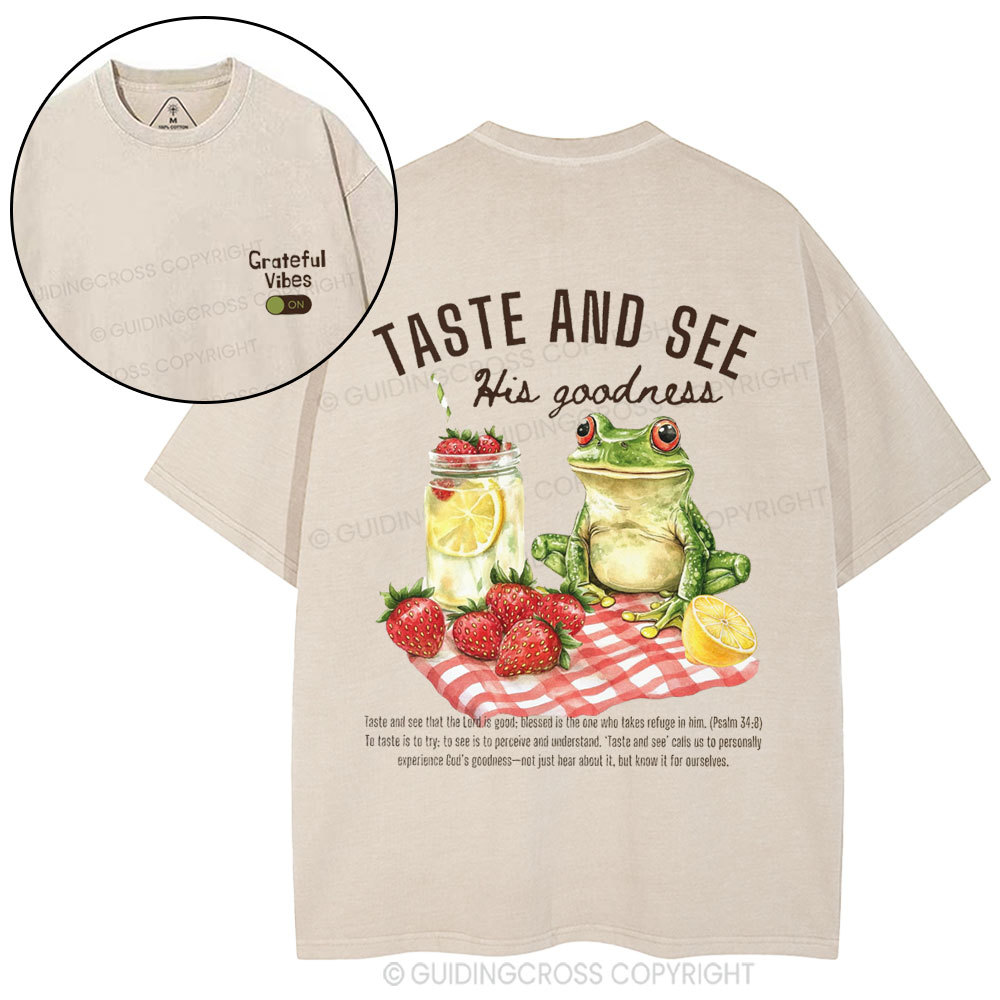 Taste And See His Goodness Christian Washed T-Shirt