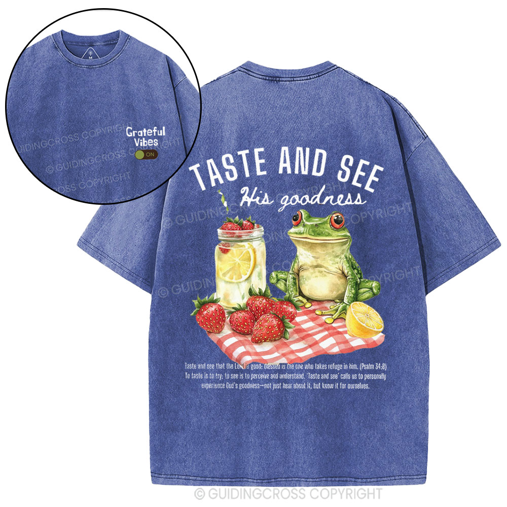 Taste And See His Goodness Christian Washed T-Shirt