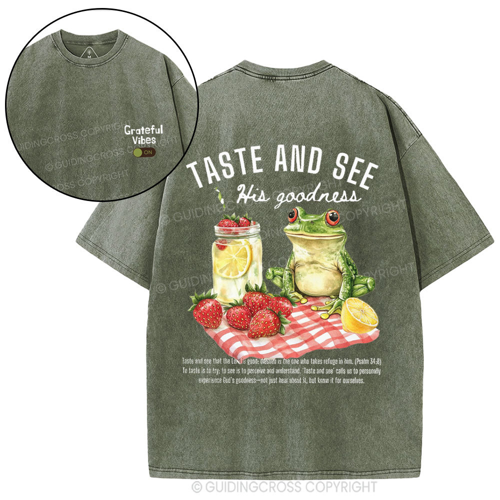 Taste And See His Goodness Christian Washed T-Shirt