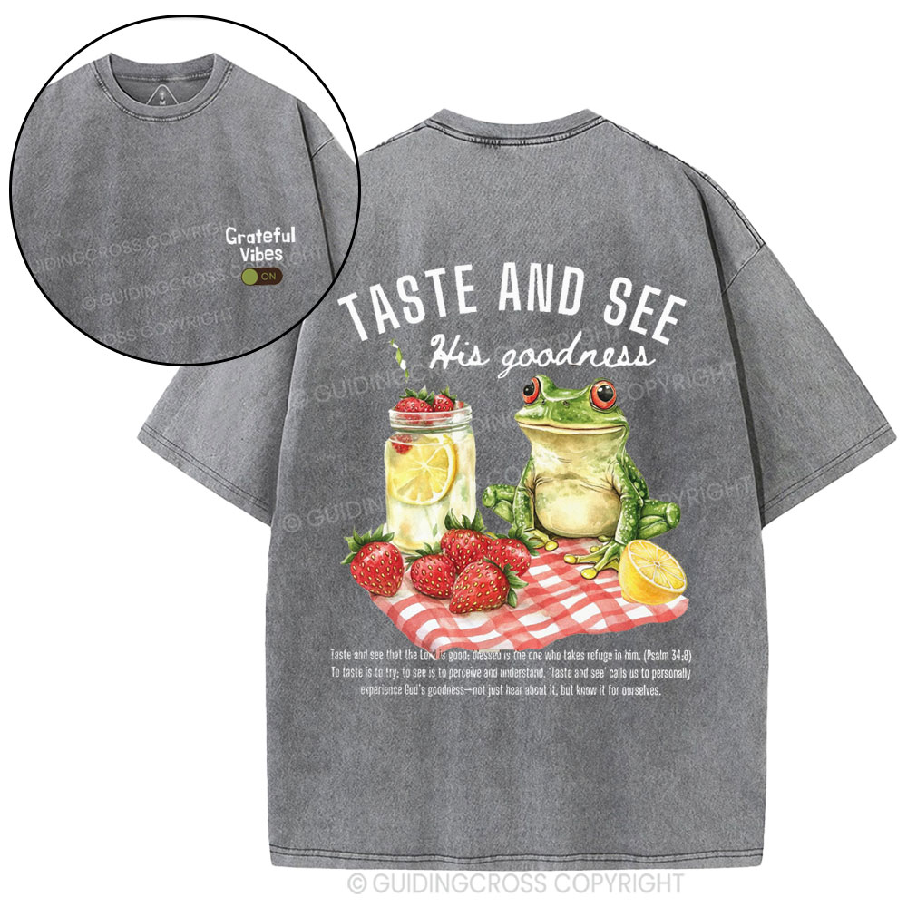 Taste And See His Goodness Christian Washed T-Shirt