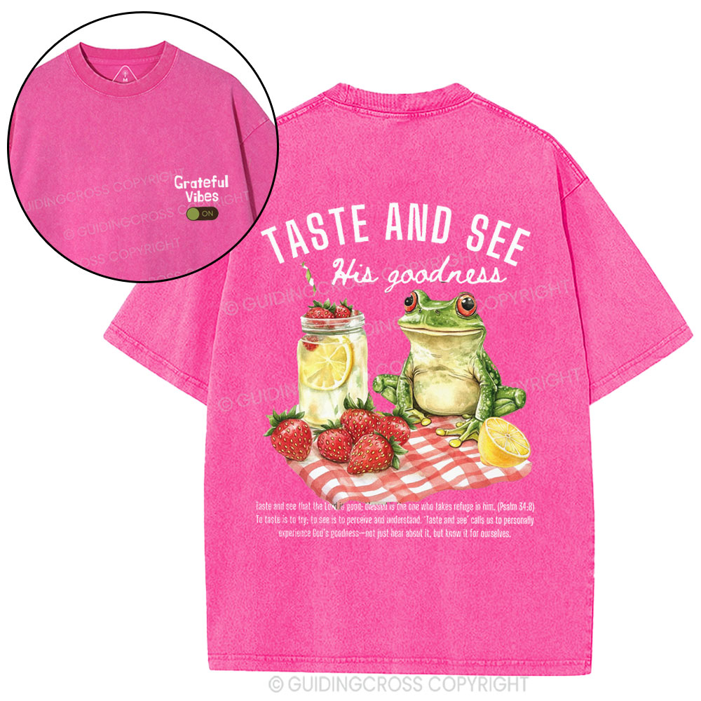 Taste And See His Goodness Christian Washed T-Shirt
