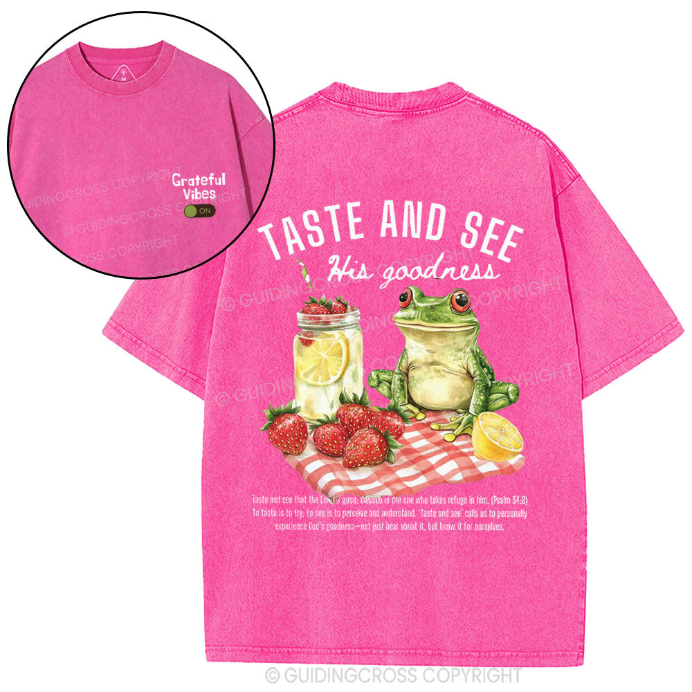 Taste And See His Goodness Christian Washed T-Shirt