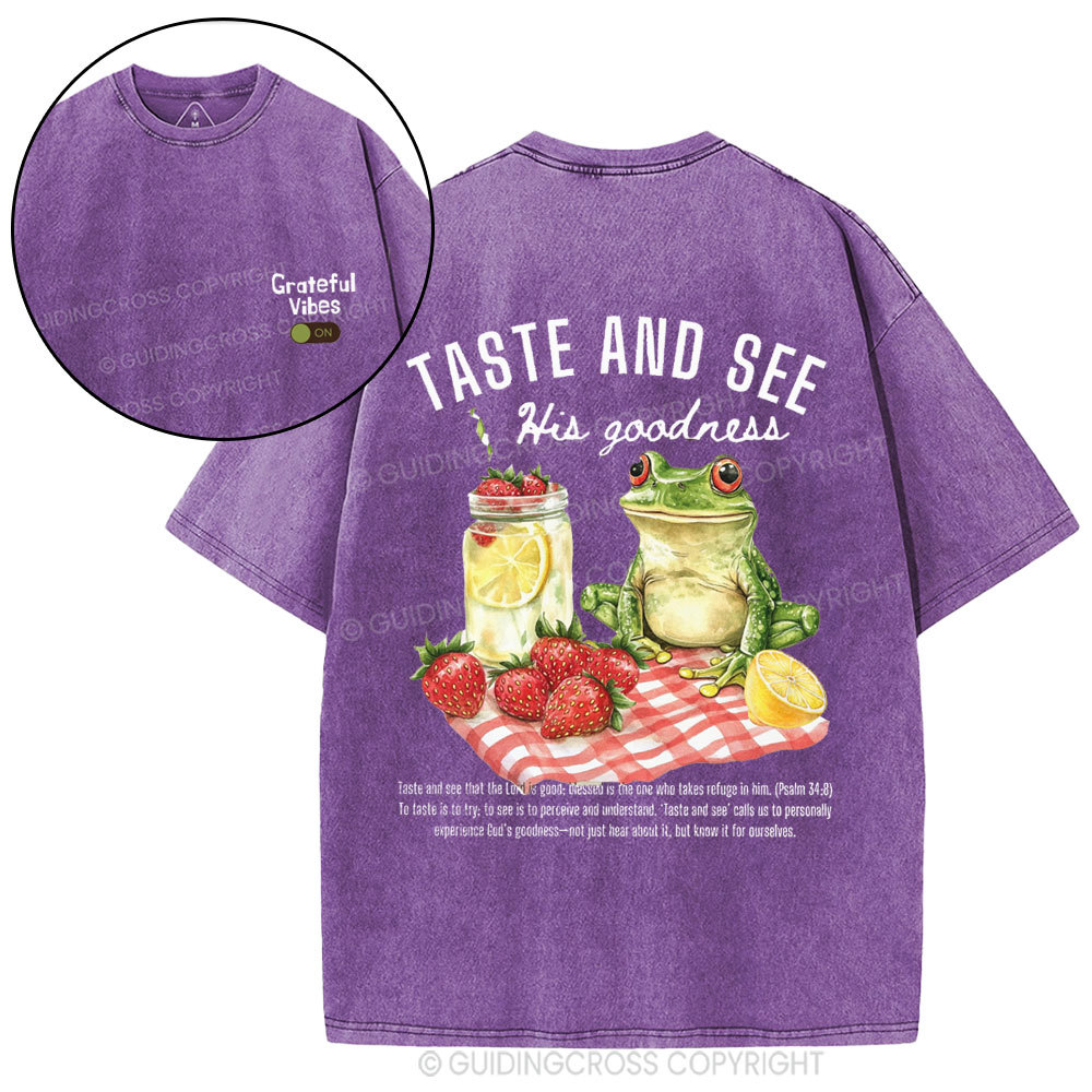 Taste And See His Goodness Christian Washed T-Shirt