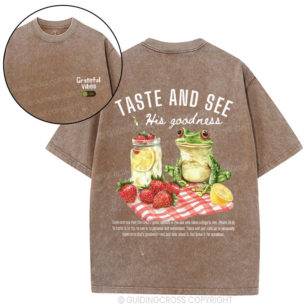 Taste And See His Goodness Christian Washed T-Shirt