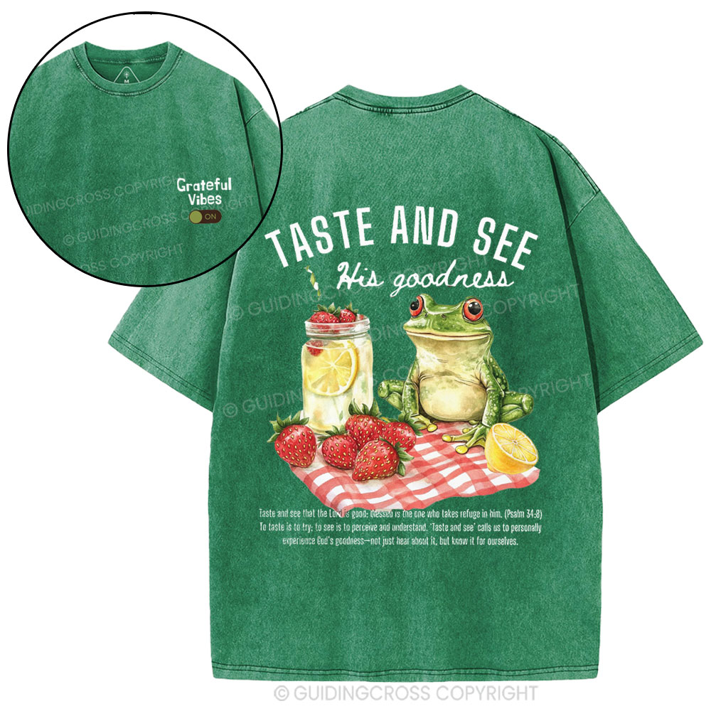 Taste And See His Goodness Christian Washed T-Shirt