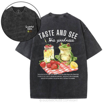 Taste And See His Goodness Christian Washed T-Shirt