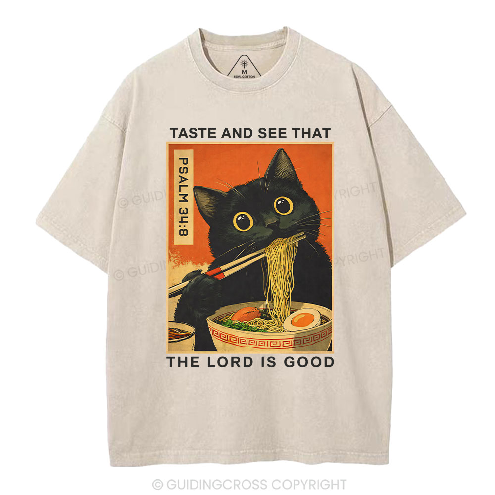 New-Sample Christian Washed T-Shirt Sale - GuidingCross