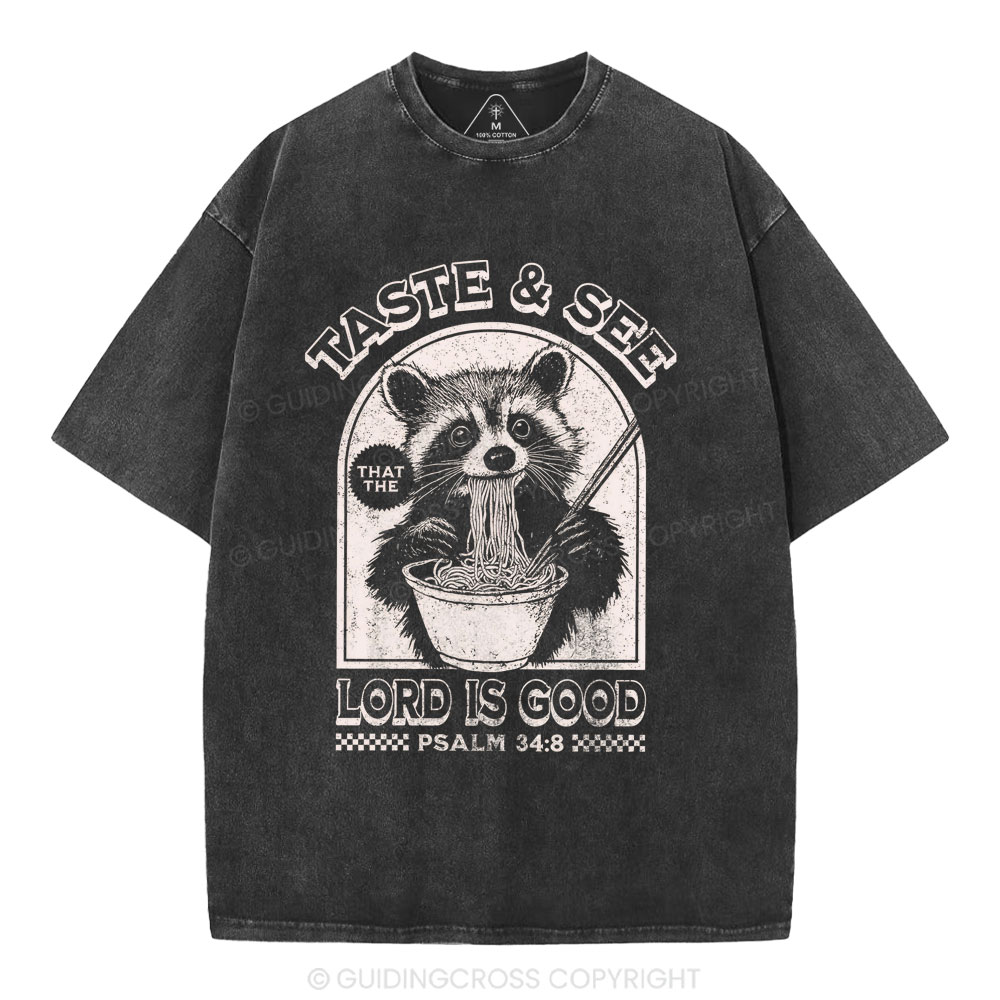 Taste & See Lord Is Good Christian Washed T-Shirt