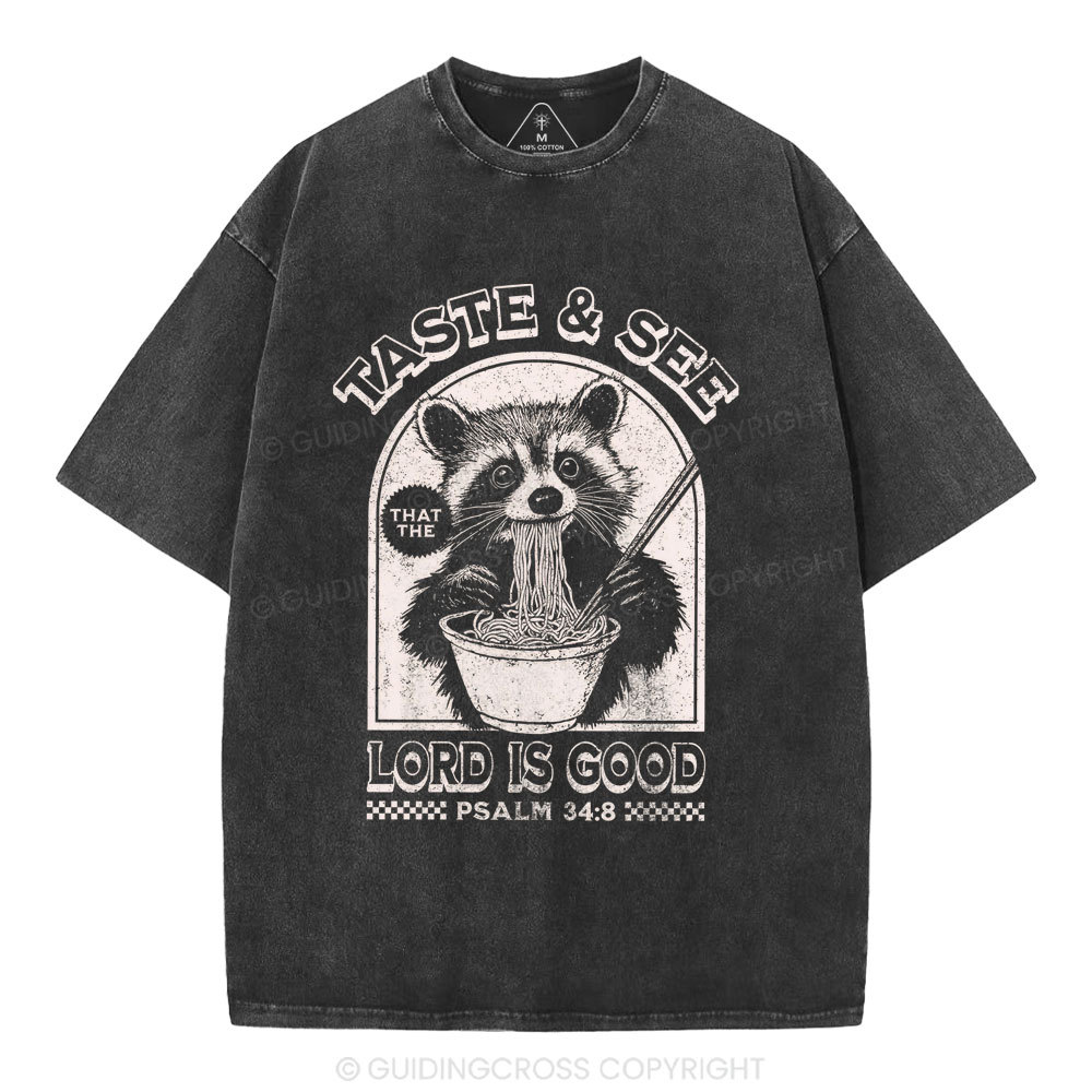 Taste & See Lord Is Good Christian Washed T-Shirt