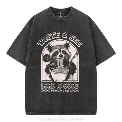 Taste & See Lord Is Good Christian Washed T-Shirt