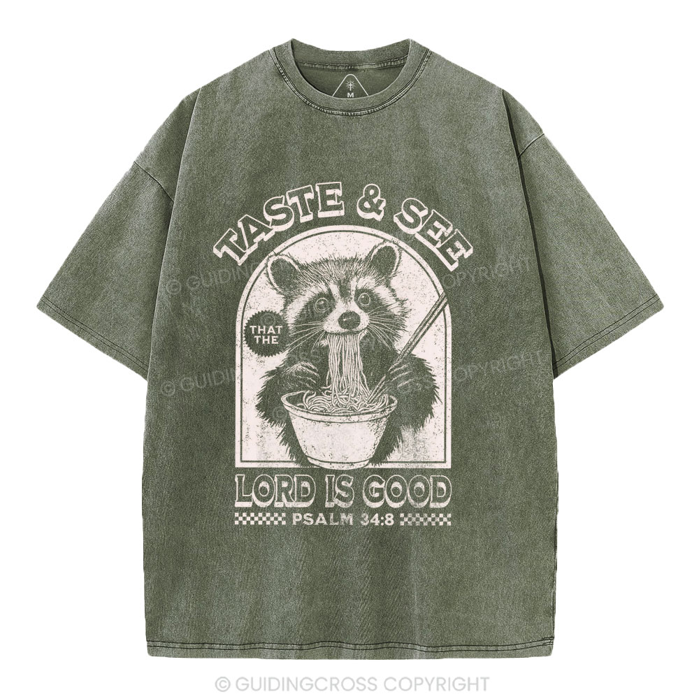 Taste & See Lord Is Good Christian Washed T-Shirt
