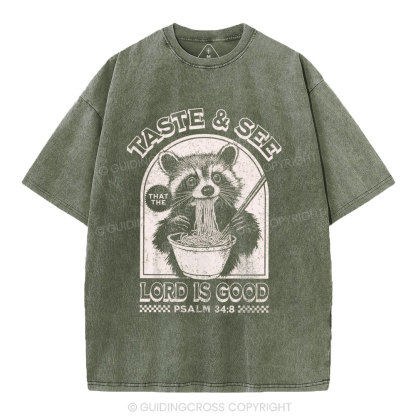 Taste & See Lord Is Good Christian Washed T-Shirt