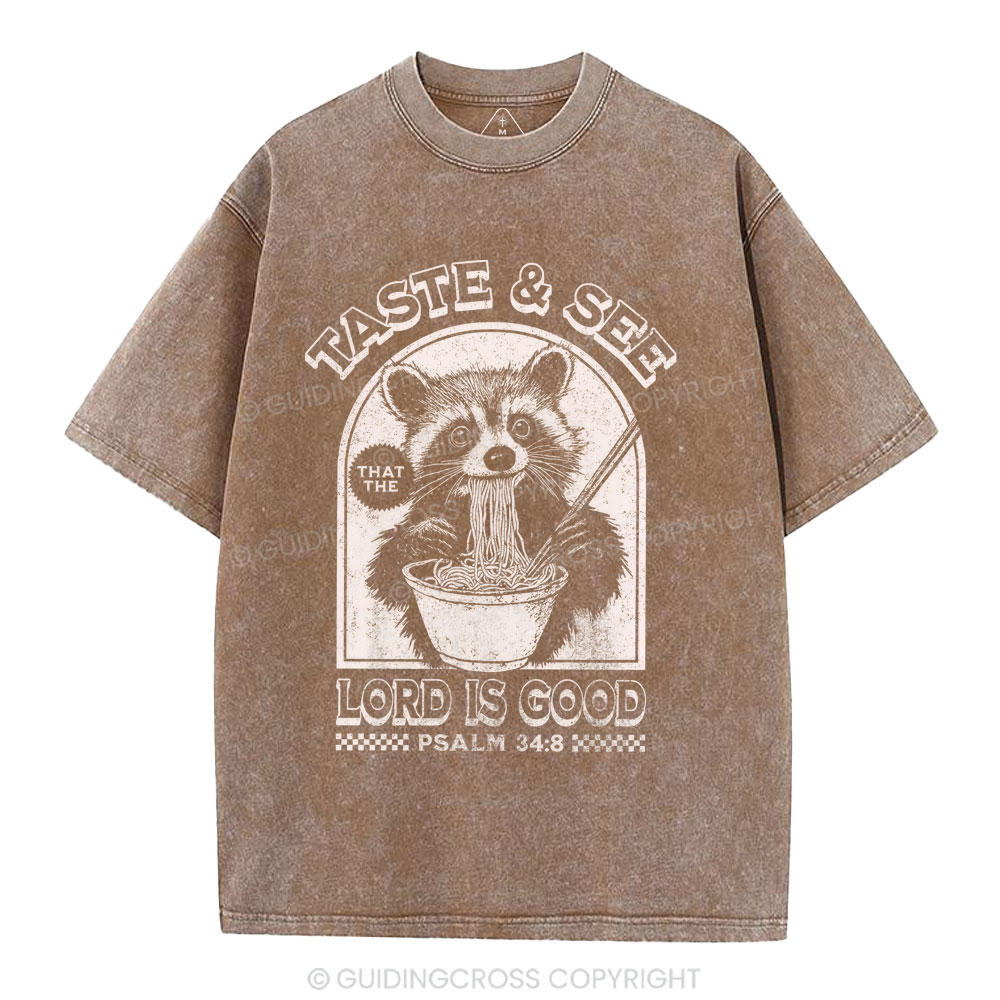 Taste & See Lord Is Good Christian Washed T-Shirt