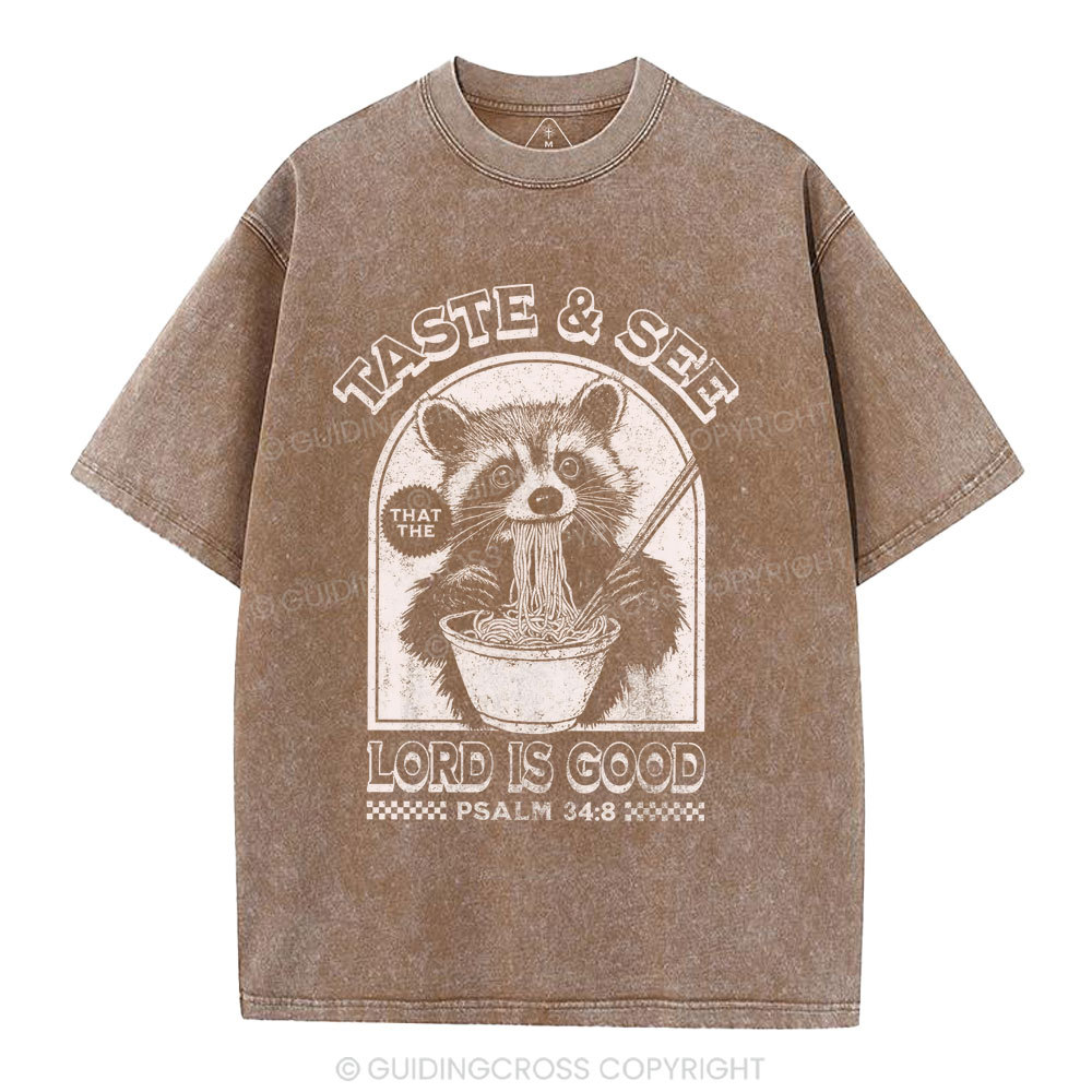 Taste & See Lord Is Good Christian Washed T-Shirt