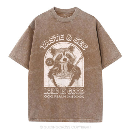 Taste & See Lord Is Good Christian Washed T-Shirt