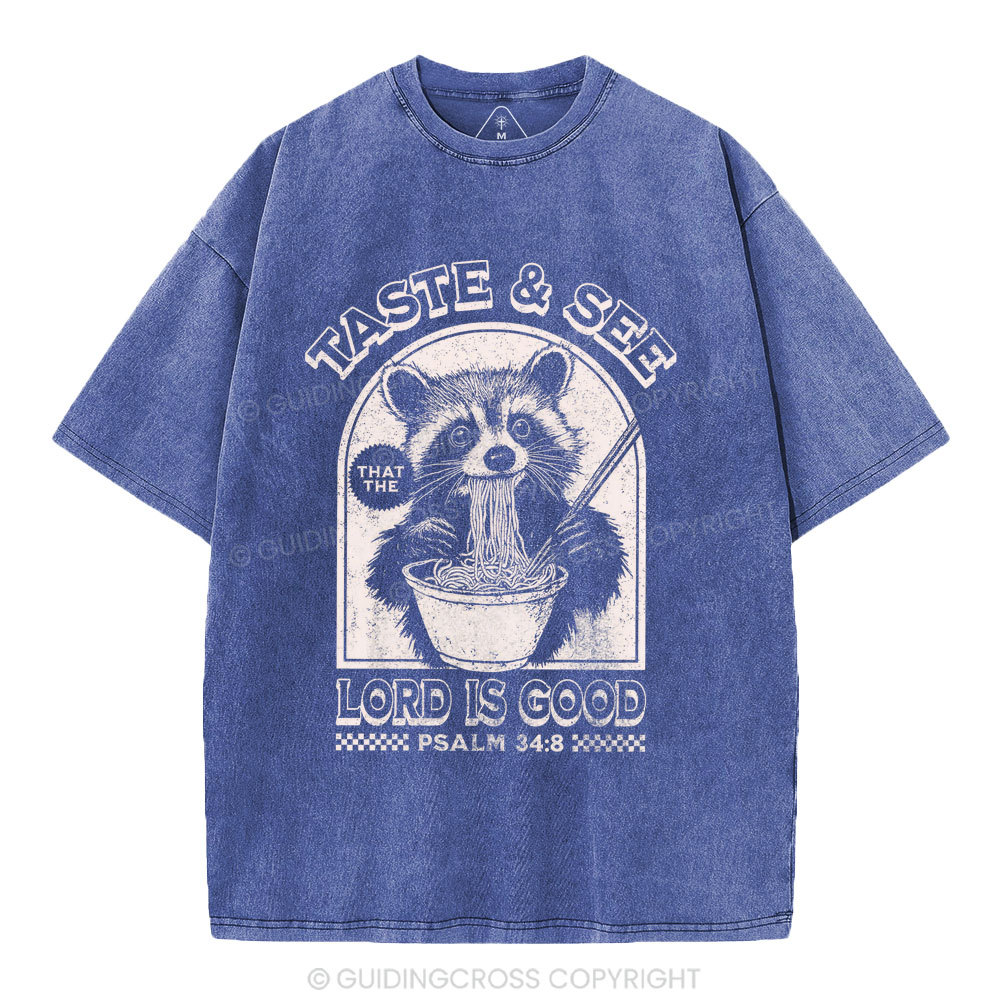 Taste & See Lord Is Good Christian Washed T-Shirt