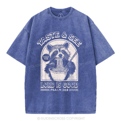 Taste & See Lord Is Good Christian Washed T-Shirt
