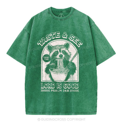 Taste & See Lord Is Good Christian Washed T-Shirt