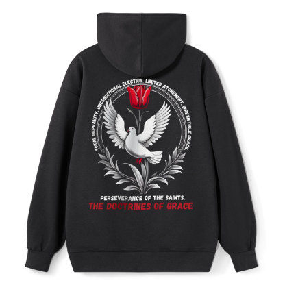 The Doctrines Of Grace Christian Class Hoodie