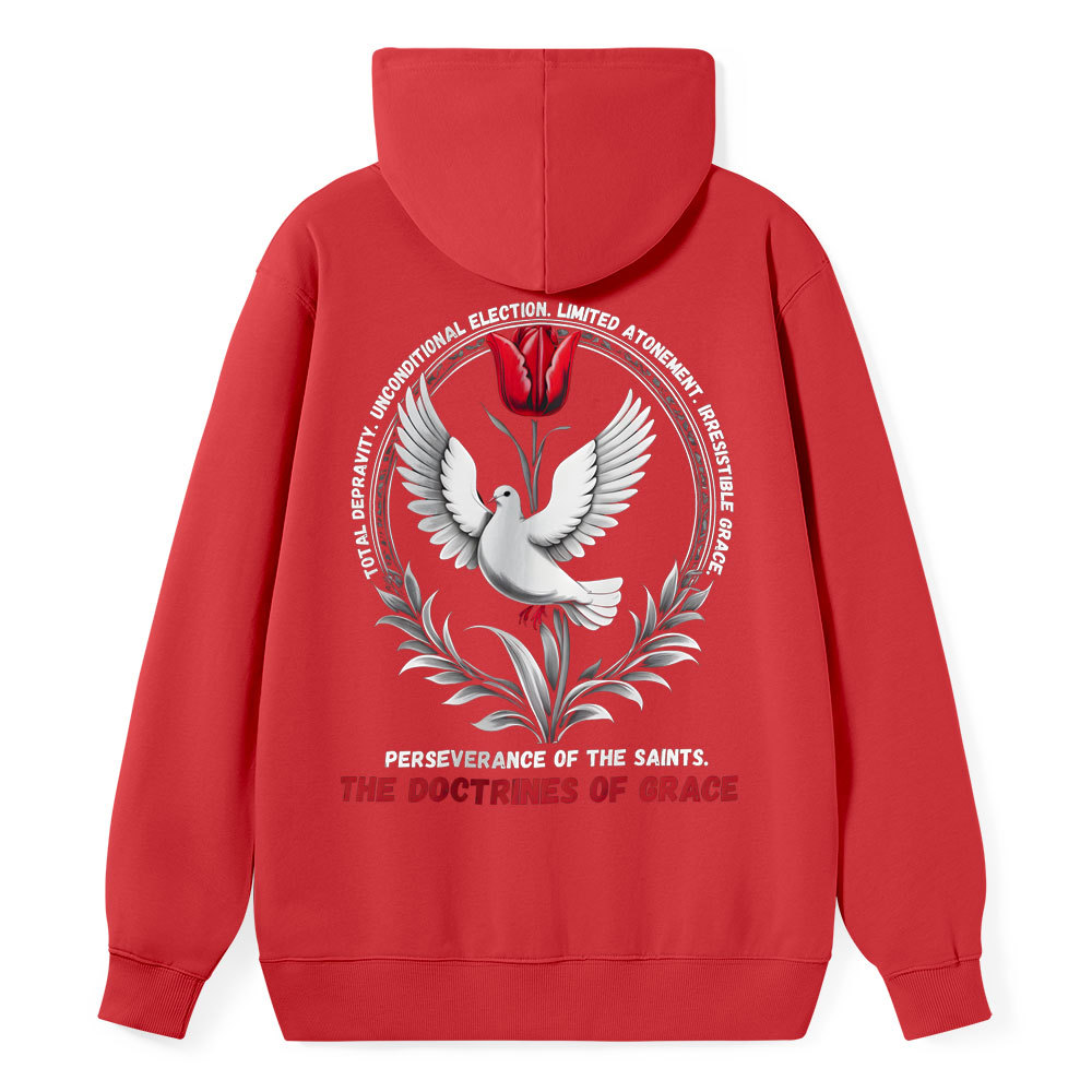 The Doctrines Of Grace Christian Class Hoodie