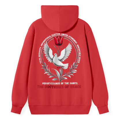 The Doctrines Of Grace Christian Class Hoodie