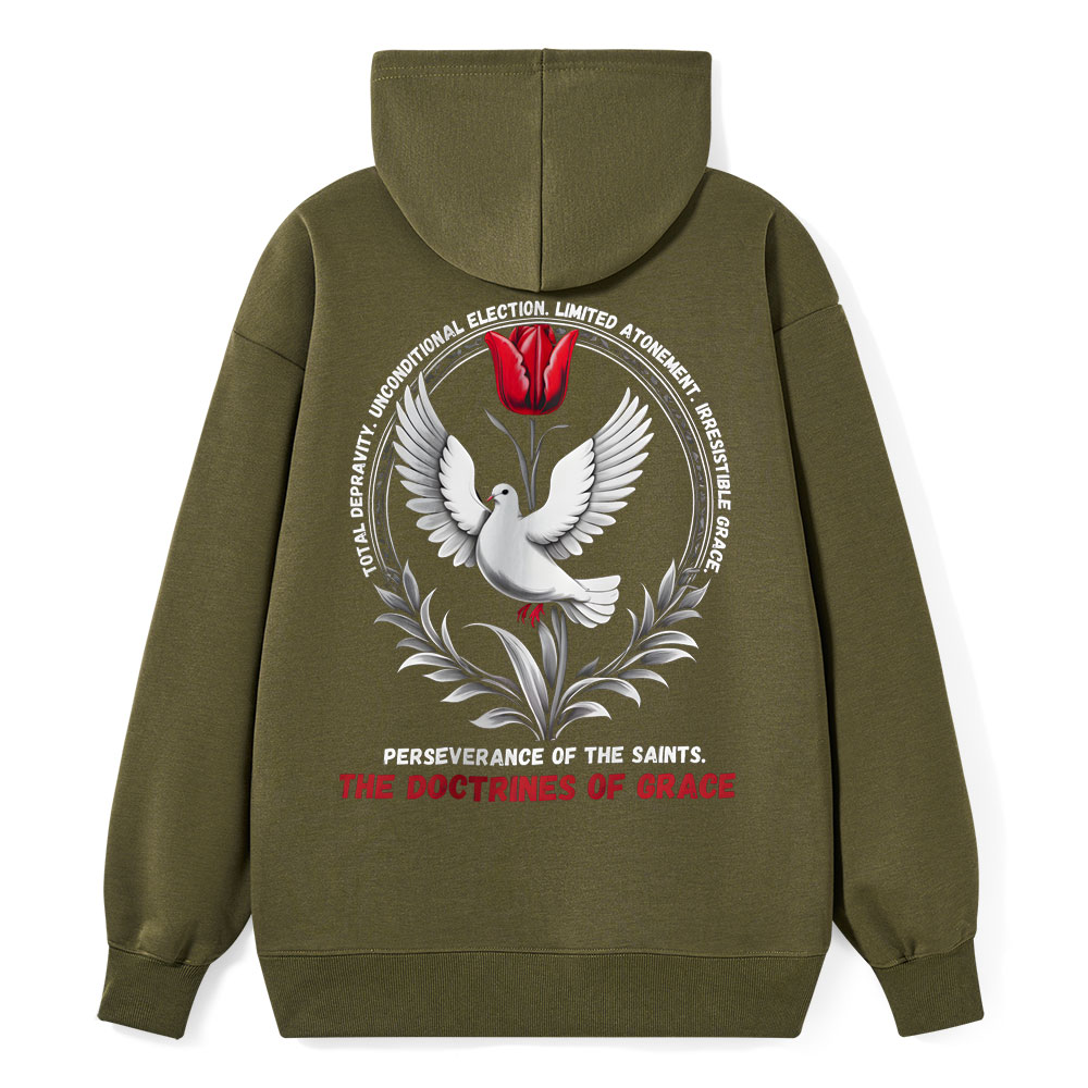 The Doctrines Of Grace Christian Class Hoodie