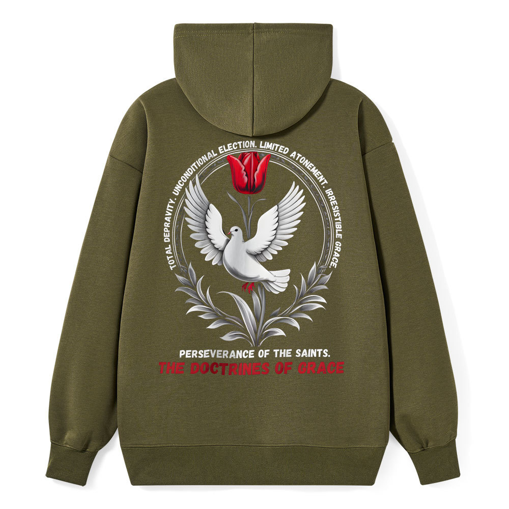 The Doctrines Of Grace Christian Class Hoodie