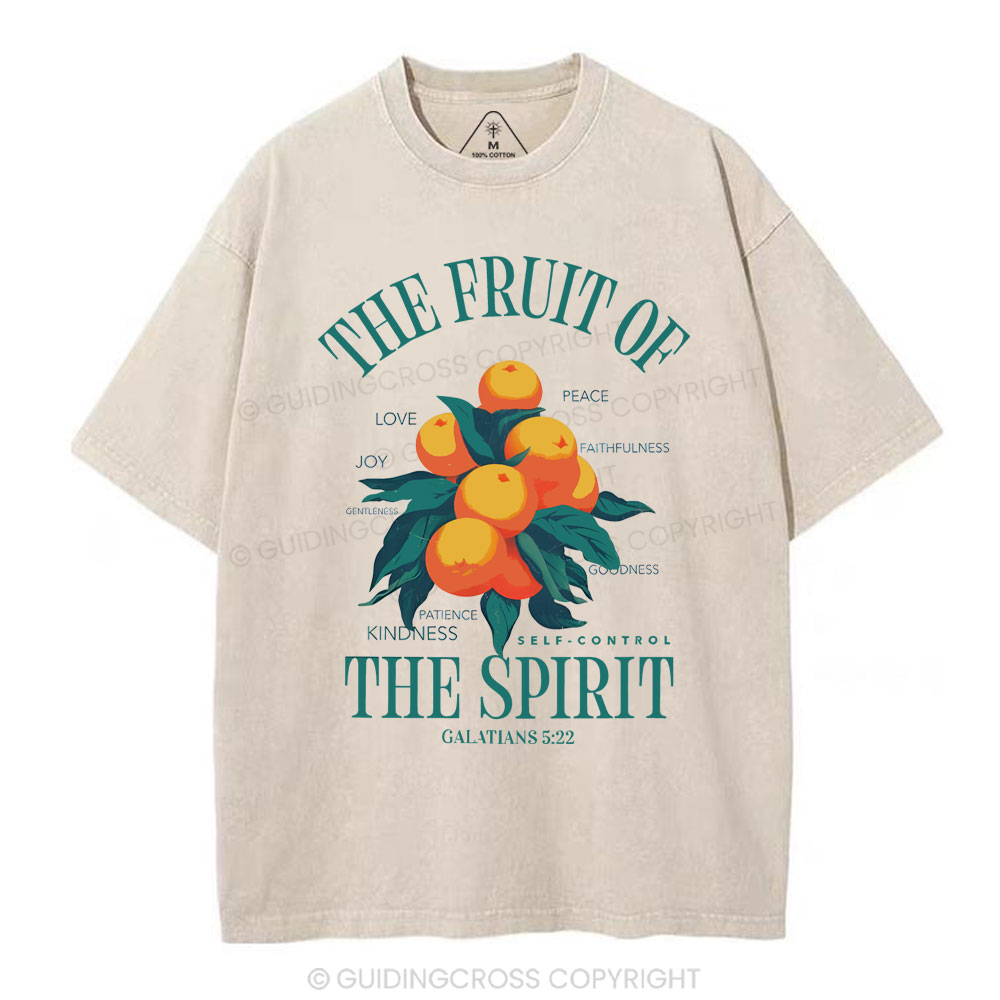 The Fruit Of Spirit Christian Wahsed T-Shirt