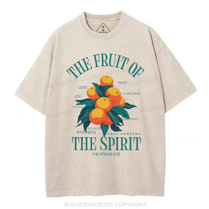 The Fruit Of Spirit Christian Wahsed T-Shirt