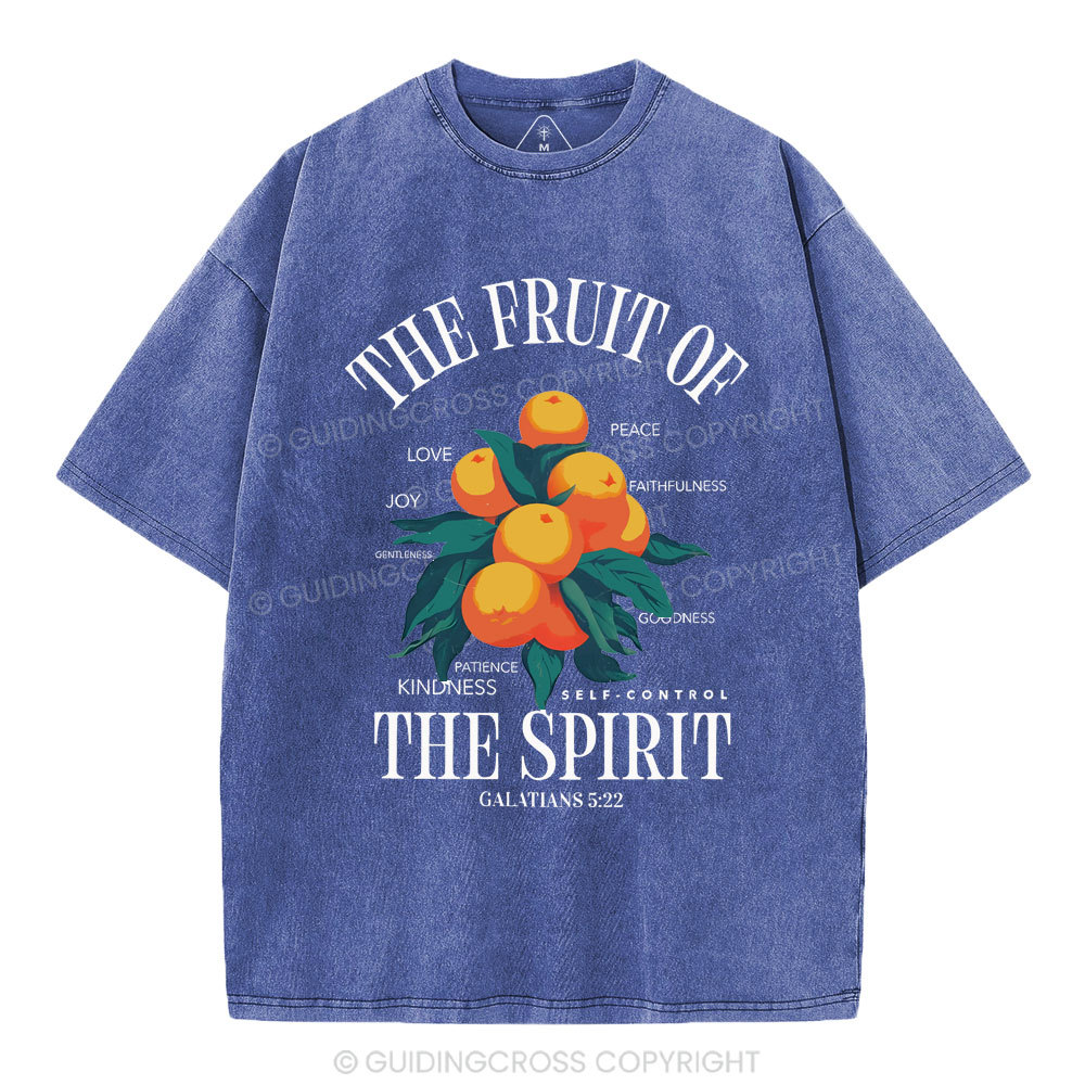 The Fruit Of Spirit Christian Wahsed T-Shirt