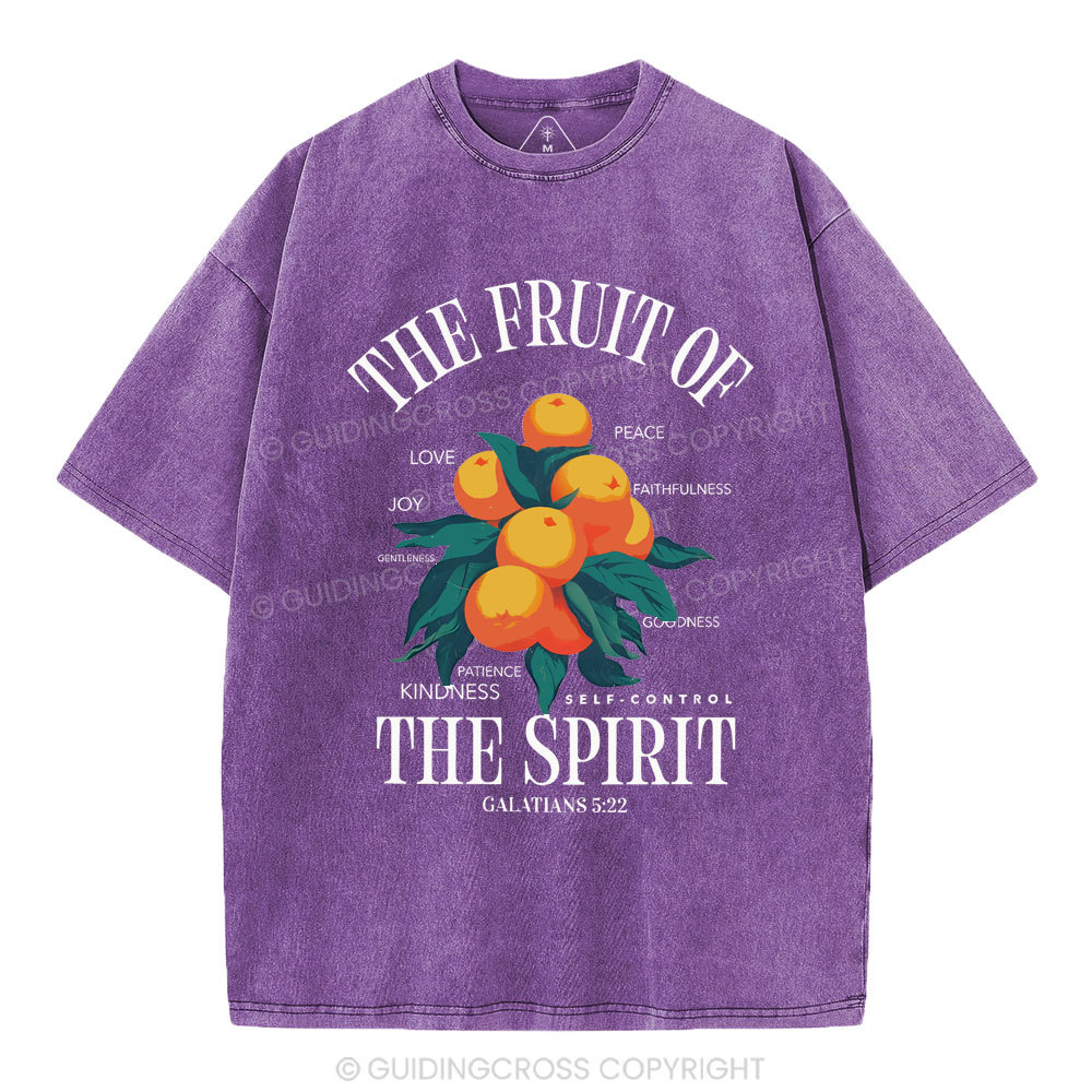 The Fruit Of Spirit Christian Wahsed T-Shirt