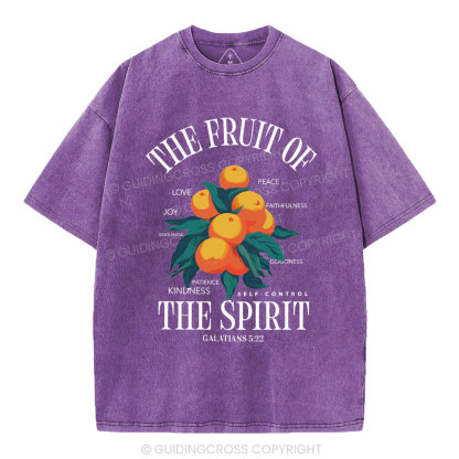 The Fruit Of Spirit Christian Wahsed T-Shirt
