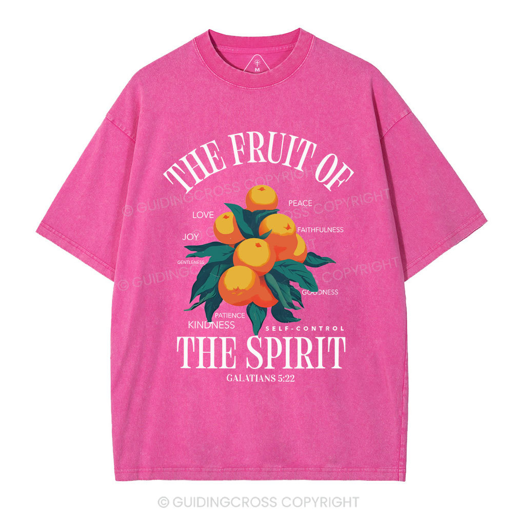 The Fruit Of Spirit Christian Wahsed T-Shirt