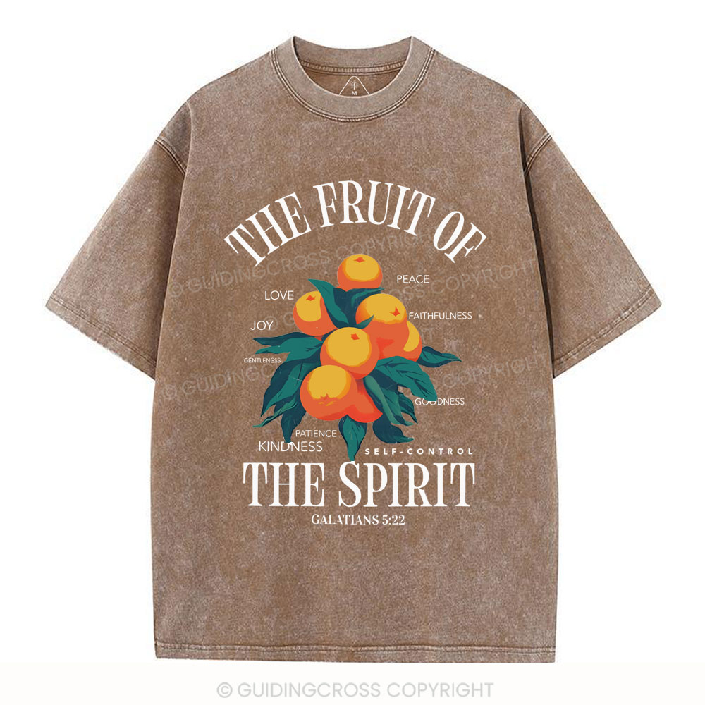 The Fruit Of Spirit Christian Wahsed T-Shirt