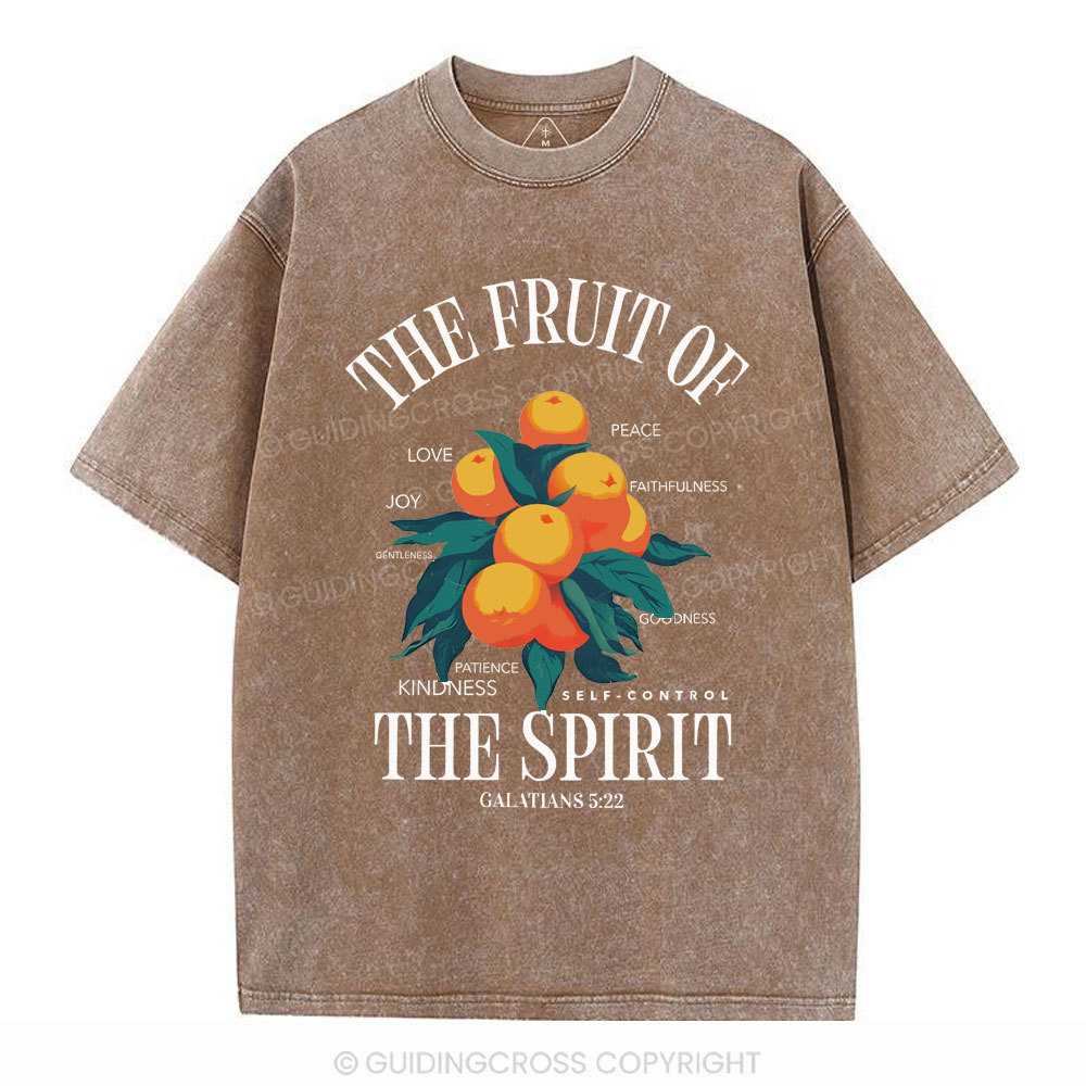 The Fruit Of Spirit Christian Wahsed T-Shirt