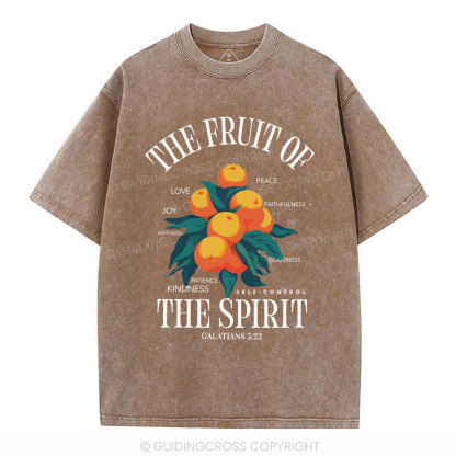 The Fruit Of Spirit Christian Wahsed T-Shirt