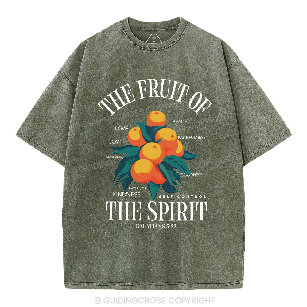 The Fruit Of Spirit Christian Wahsed T-Shirt