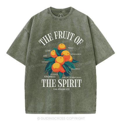 The Fruit Of Spirit Christian Wahsed T-Shirt