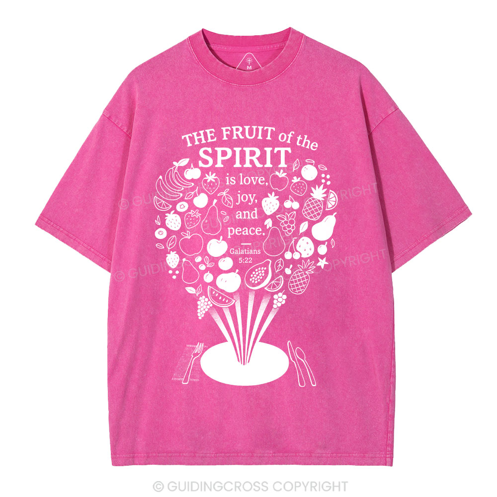 The Fruit Of The Spirit Christian Washed T-Shirt