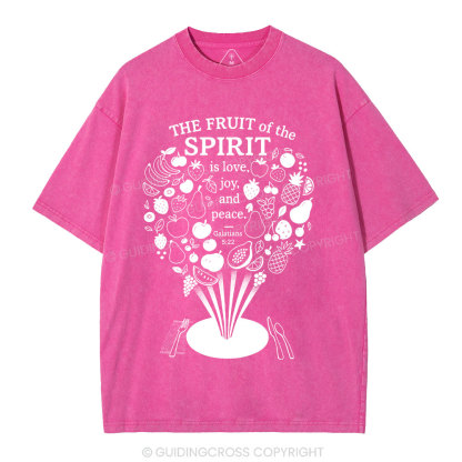 The Fruit Of The Spirit Christian Washed T-Shirt