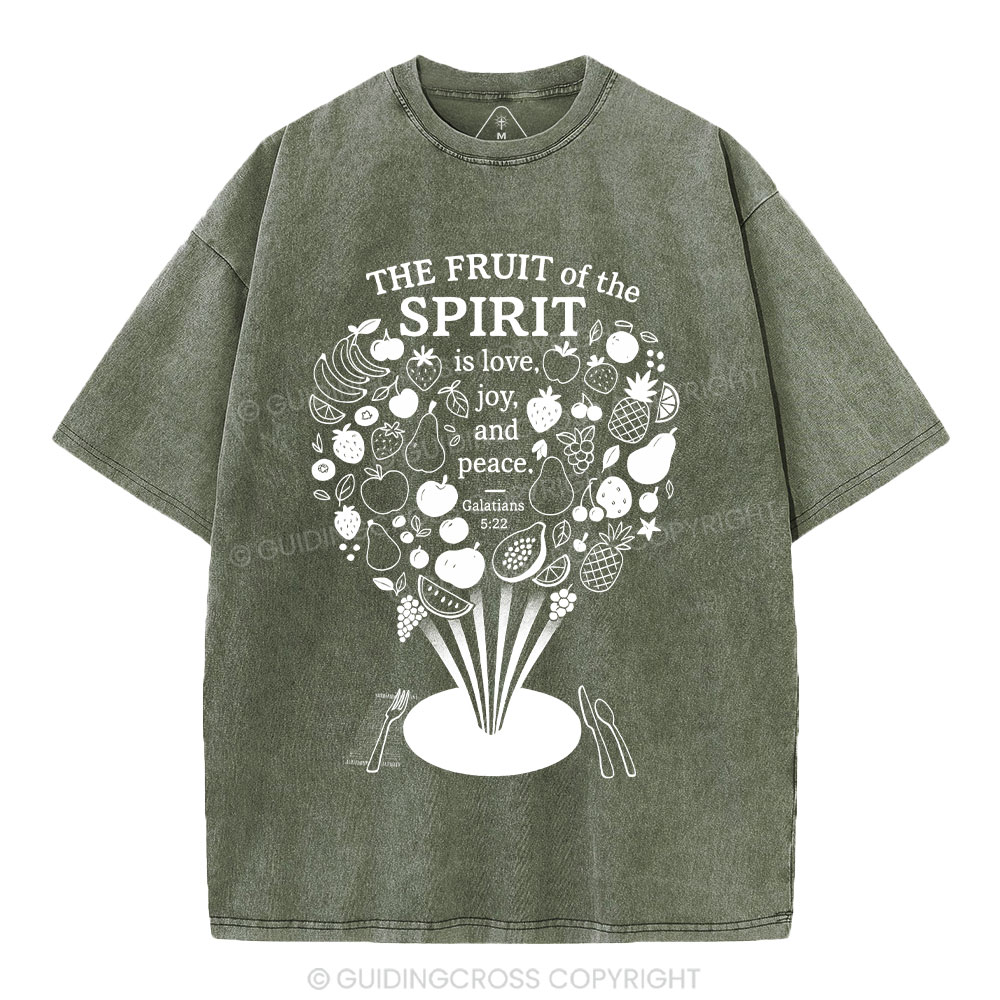 The Fruit Of The Spirit Christian Washed T-Shirt