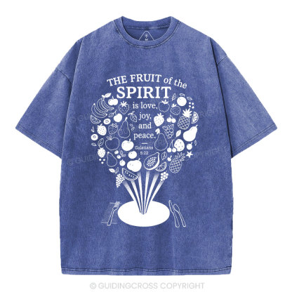 The Fruit Of The Spirit Christian Washed T-Shirt