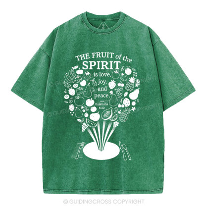 The Fruit Of The Spirit Christian Washed T-Shirt