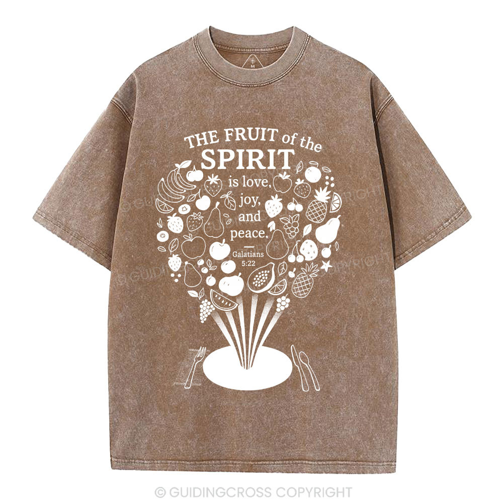 The Fruit Of The Spirit Christian Washed T-Shirt