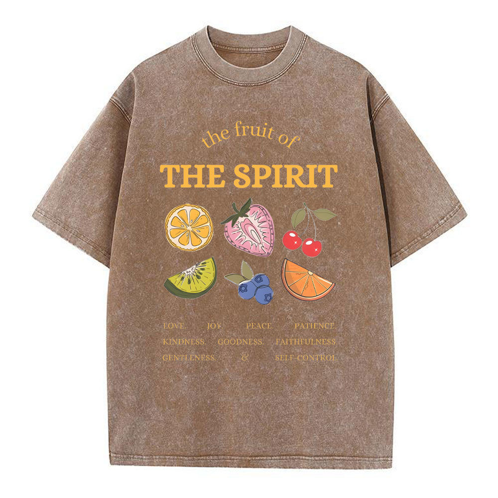 The Fruit Of The Spirit Christian Washed T-Shirt