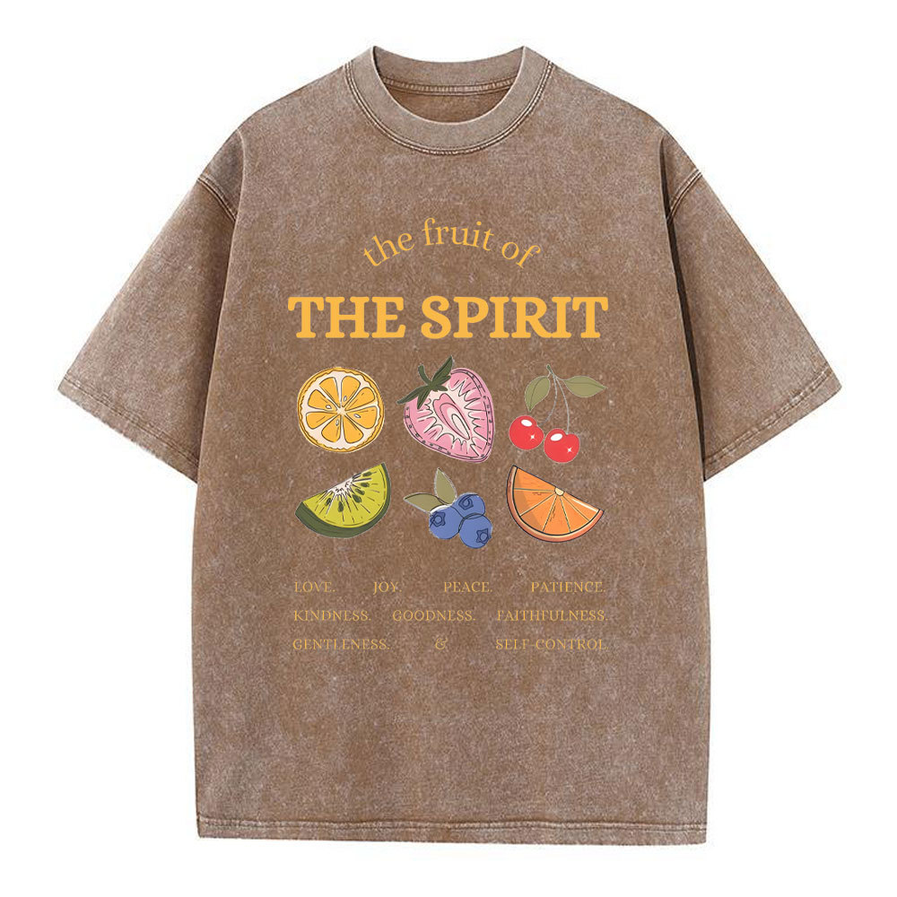 The Fruit Of The Spirit Christian Washed T-Shirt