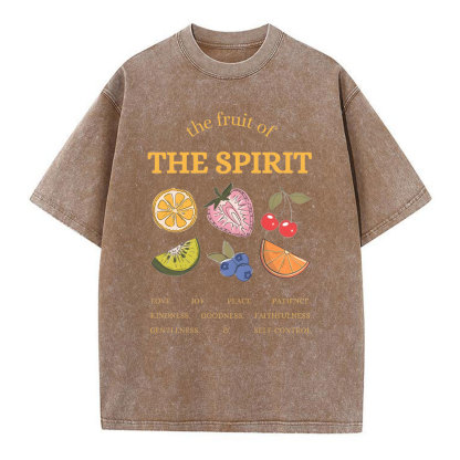 The Fruit Of The Spirit Christian Washed T-Shirt