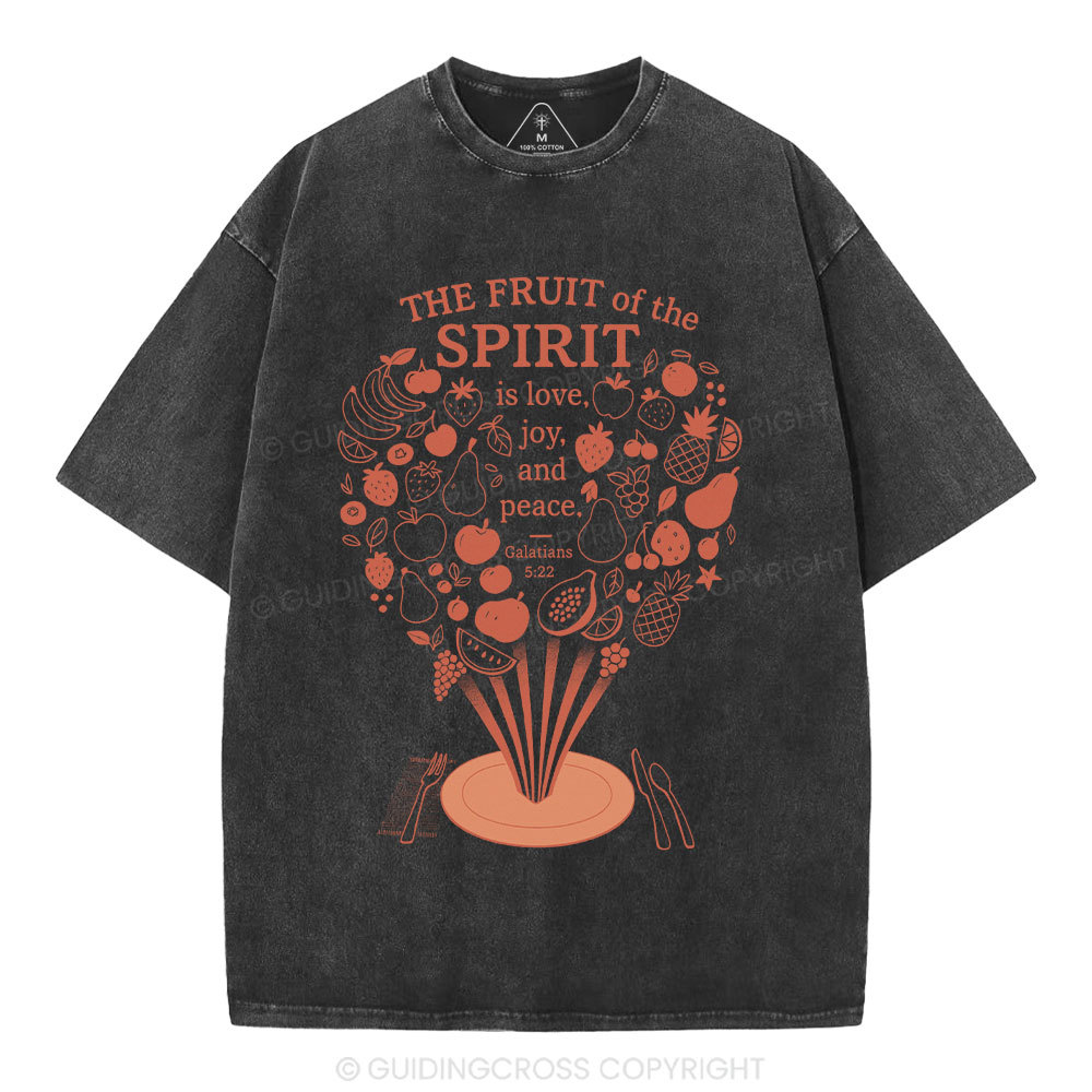 The Fruit Of The Spirit Christian Washed T-Shirt